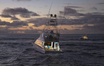 Gallery: The Boats of the 2019 Los Cabos Billfish Tournament