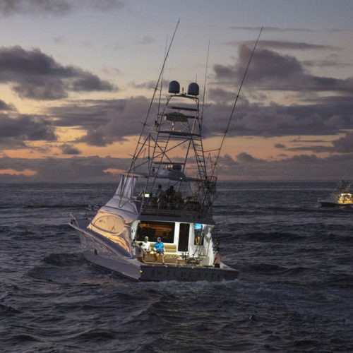 Gallery: The Boats of the 2019 Los Cabos Billfish Tournament