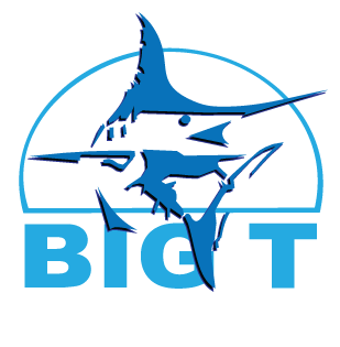 Big T Lures