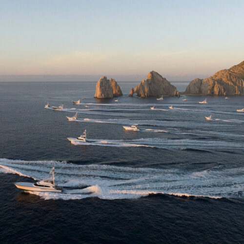 Los Cabos Tourism Board Partners With Bonnier to Operate Los Cabos Billfish Tournament